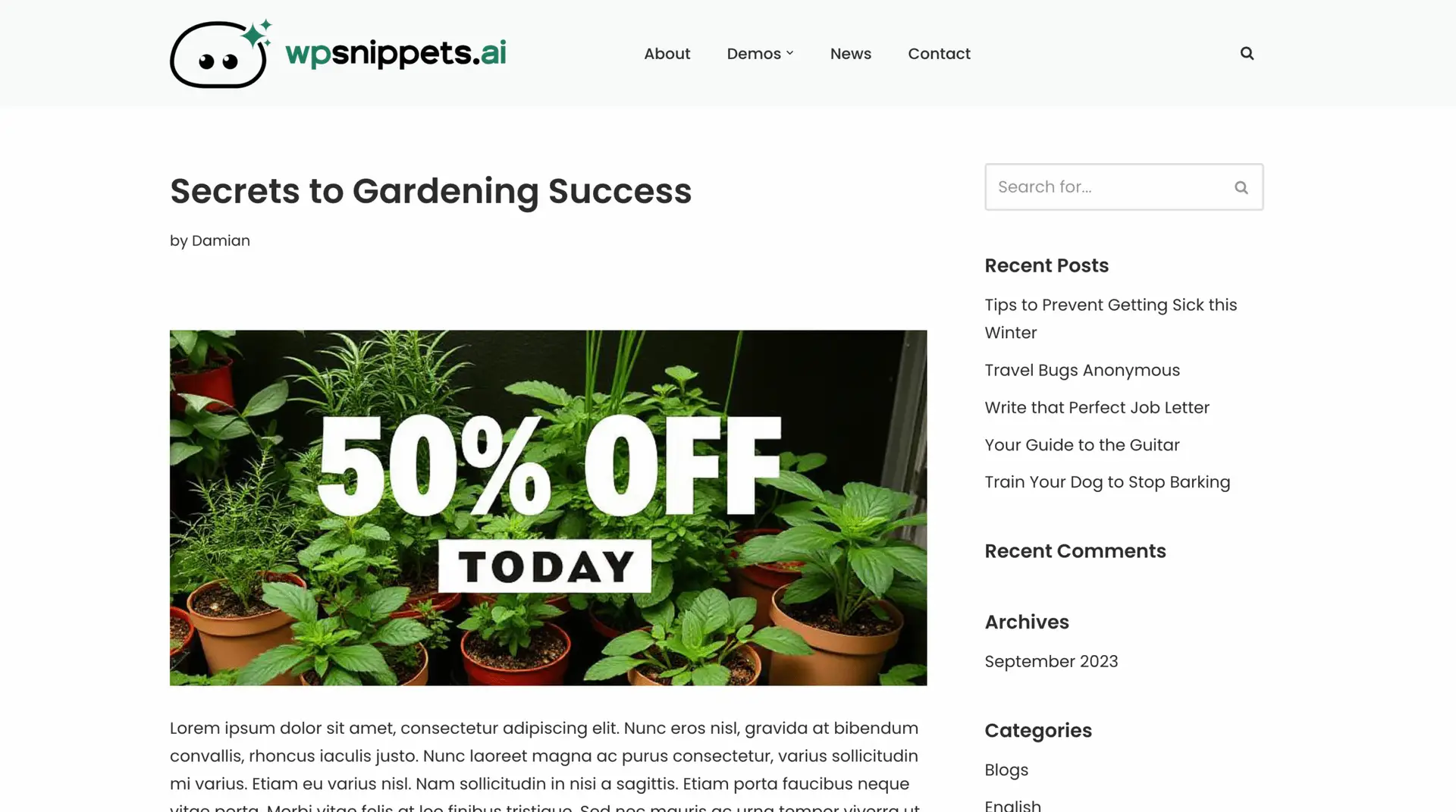 Snippet Hooks - Before Post Content in action